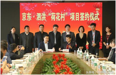 重磅|农业金矿待挖，谁又是中国农业领域捞金之王？