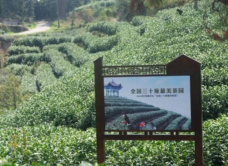 温州问道,温州问界