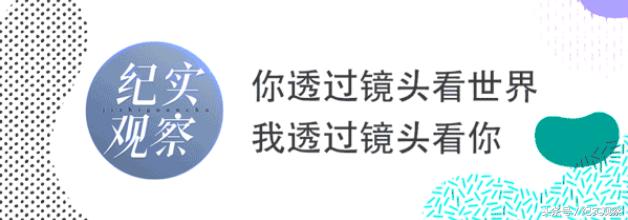 这个充满“边缘题材”的节展还是半个“政府奖”