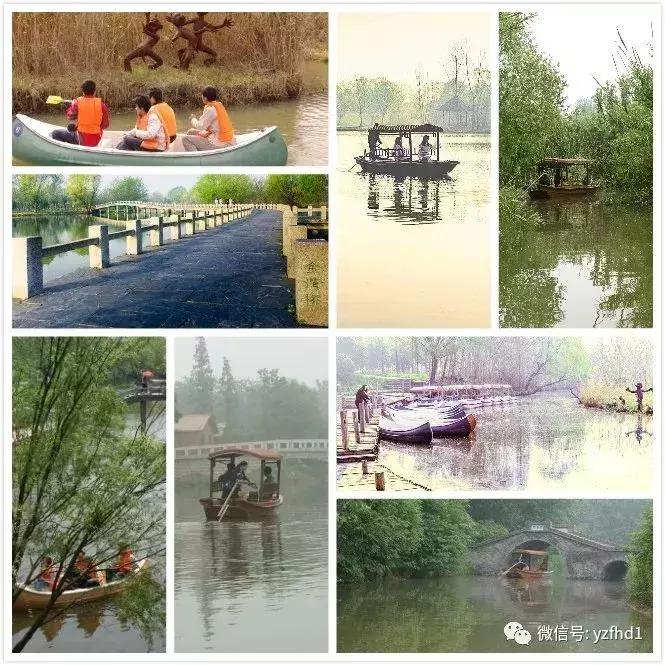 扬州中国风湿地公园,六月的扬州湿地公园