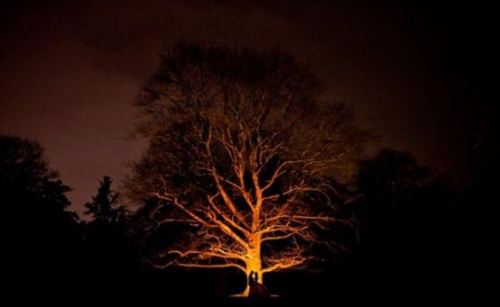 全球十款最好看的婚纱摄影,国外婚纱摄影大全