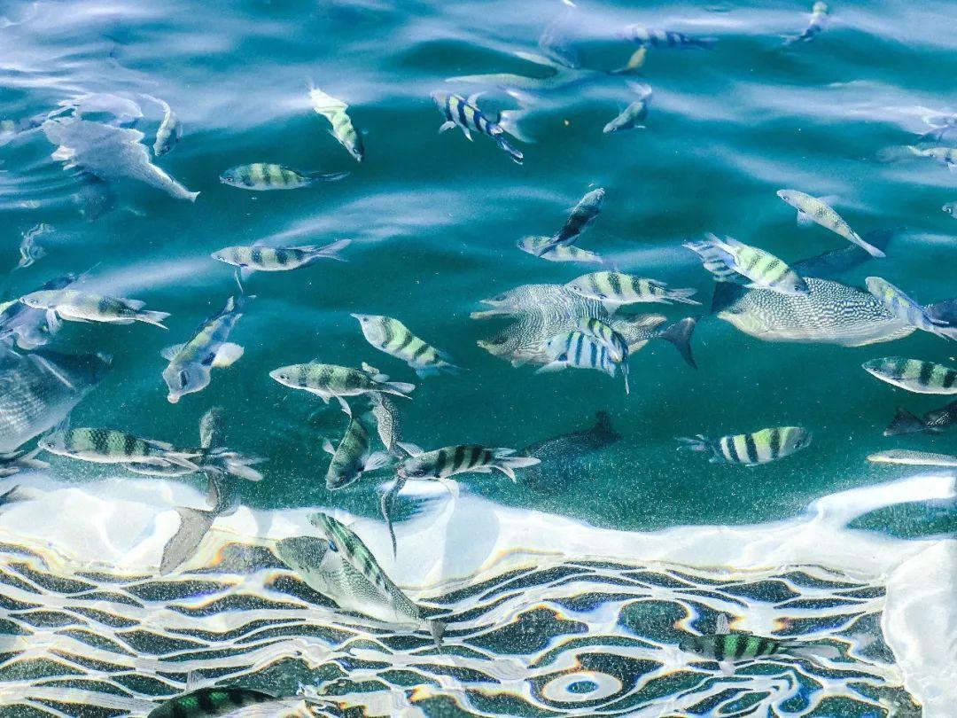 兰卡威六天游攻略,兰卡威六日游玩