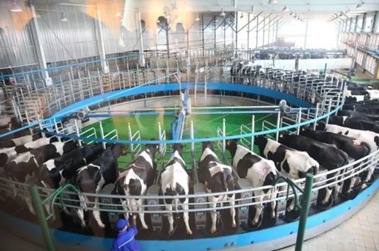 香港奶粉检测15款奶粉不合格,香港奶粉抽查不合格名单真的吗