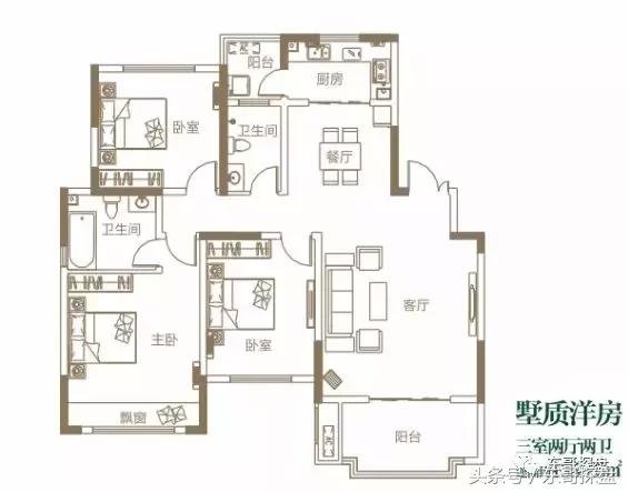 又一神盘诞生，花儿为什么这样红？