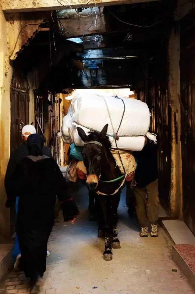 不同于你想象之中的卡萨布兰卡