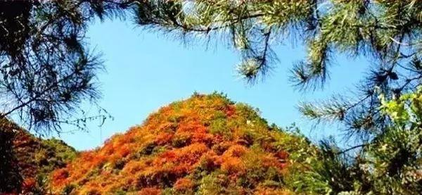 从太原自驾到临汾需要几个小时,从太原自驾到成都