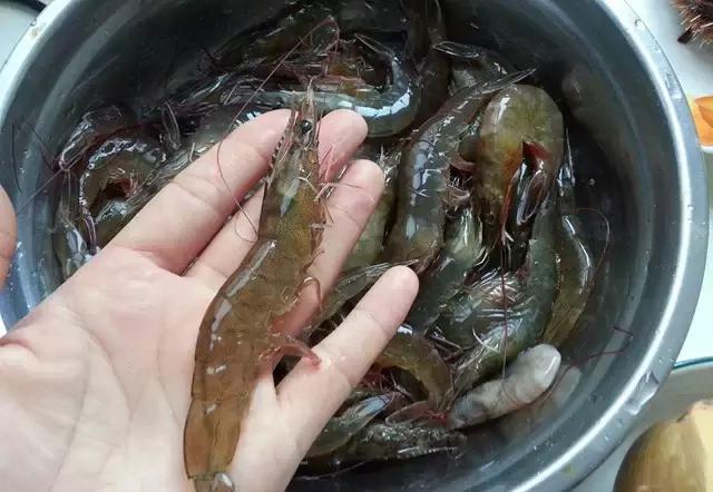 烟台海边海鲜寻找攻略,盘点海鲜市场所有进口大海鲜