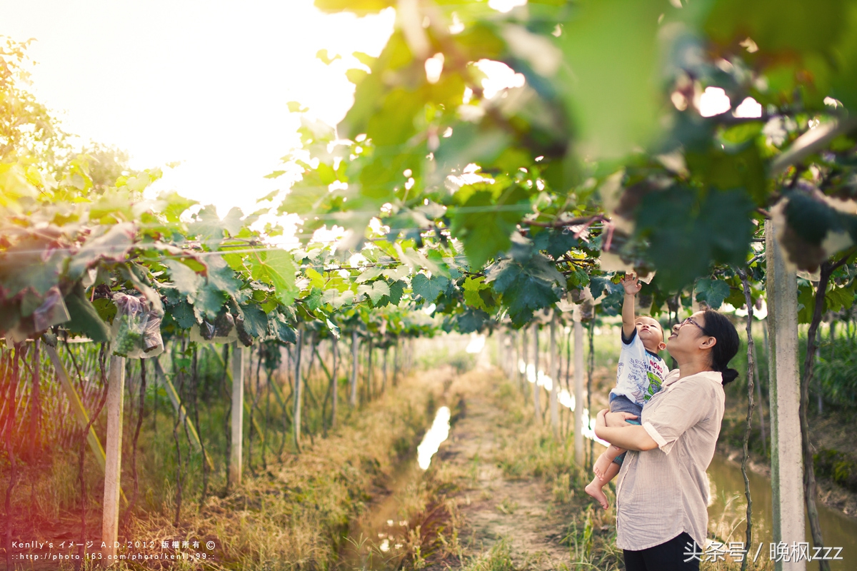 到底什么才叫一家人,什么算是一家人