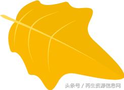 巴塞尔公约专家带您一文了解废荧光灯管的收集、运输、处理及处置