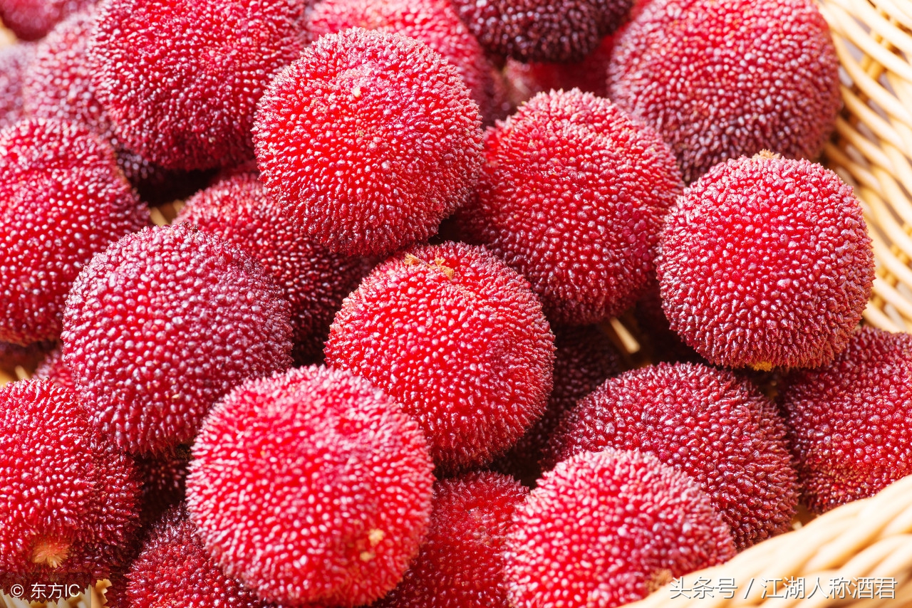 杨梅酒的制作方法可以用塑料瓶吗,杨梅酒的制作方法步骤视频