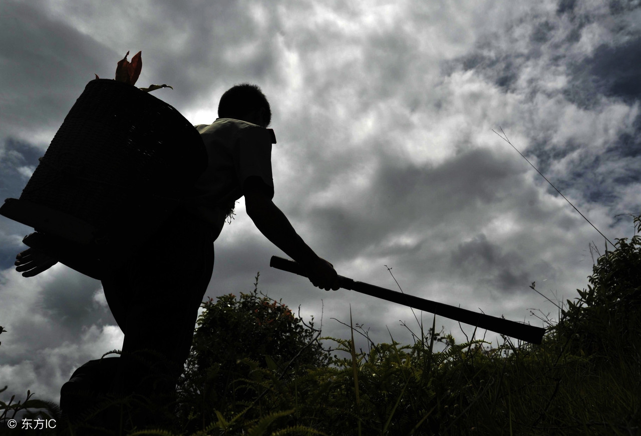脱贫励志故事,脱贫扶贫故事