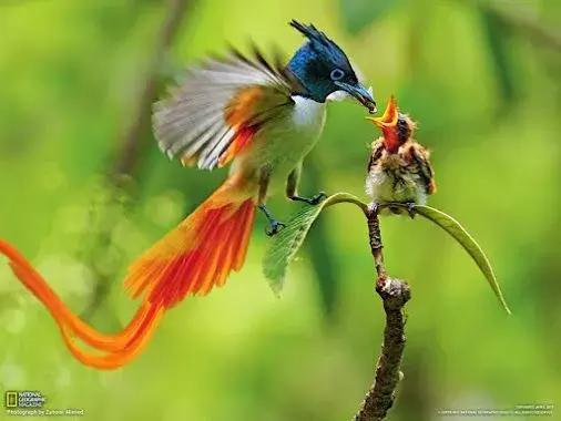 罕见，罕见，太罕见了，99%的人都没见过，忍不住发给你看看！