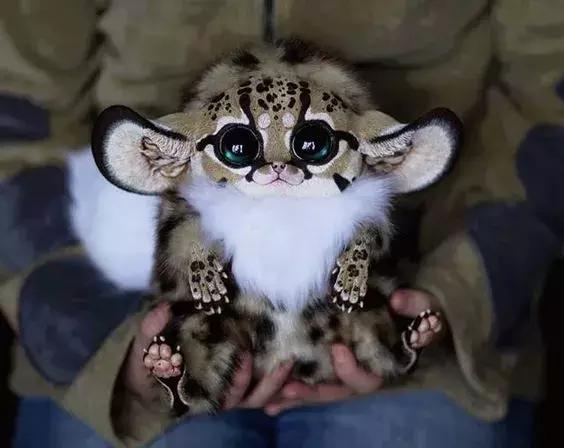 罕见，罕见，太罕见了，99%的人都没见过，忍不住发给你看看！