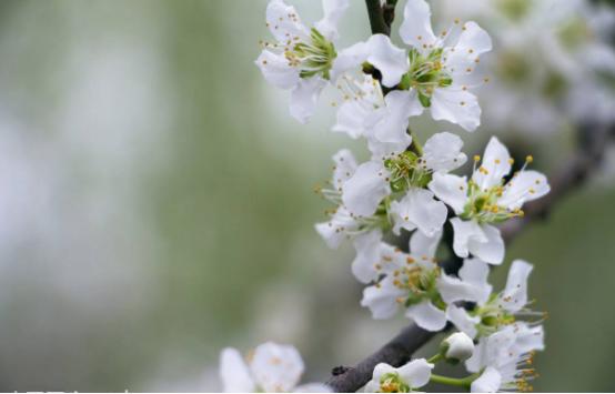 古诗中最感人的诗词,十首催泪诗词哪首击中了你的泪点