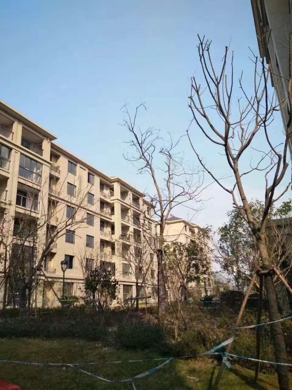 海宁卡森卫星城配套,海宁卡森卫星城规划图