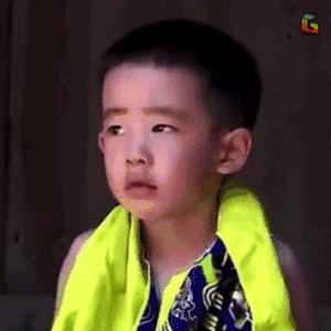 收藏车子要办什么手续,如何快速通过机动车年检