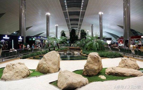 合肥机场现“袖珍睡吧”，除了坐着发呆，原来机场还能做这些事