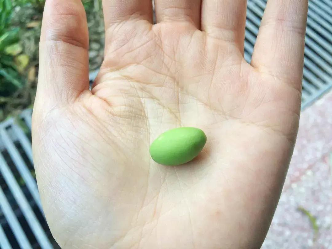 清明踏春一日游必去景点,踏春赏花景点最美推荐