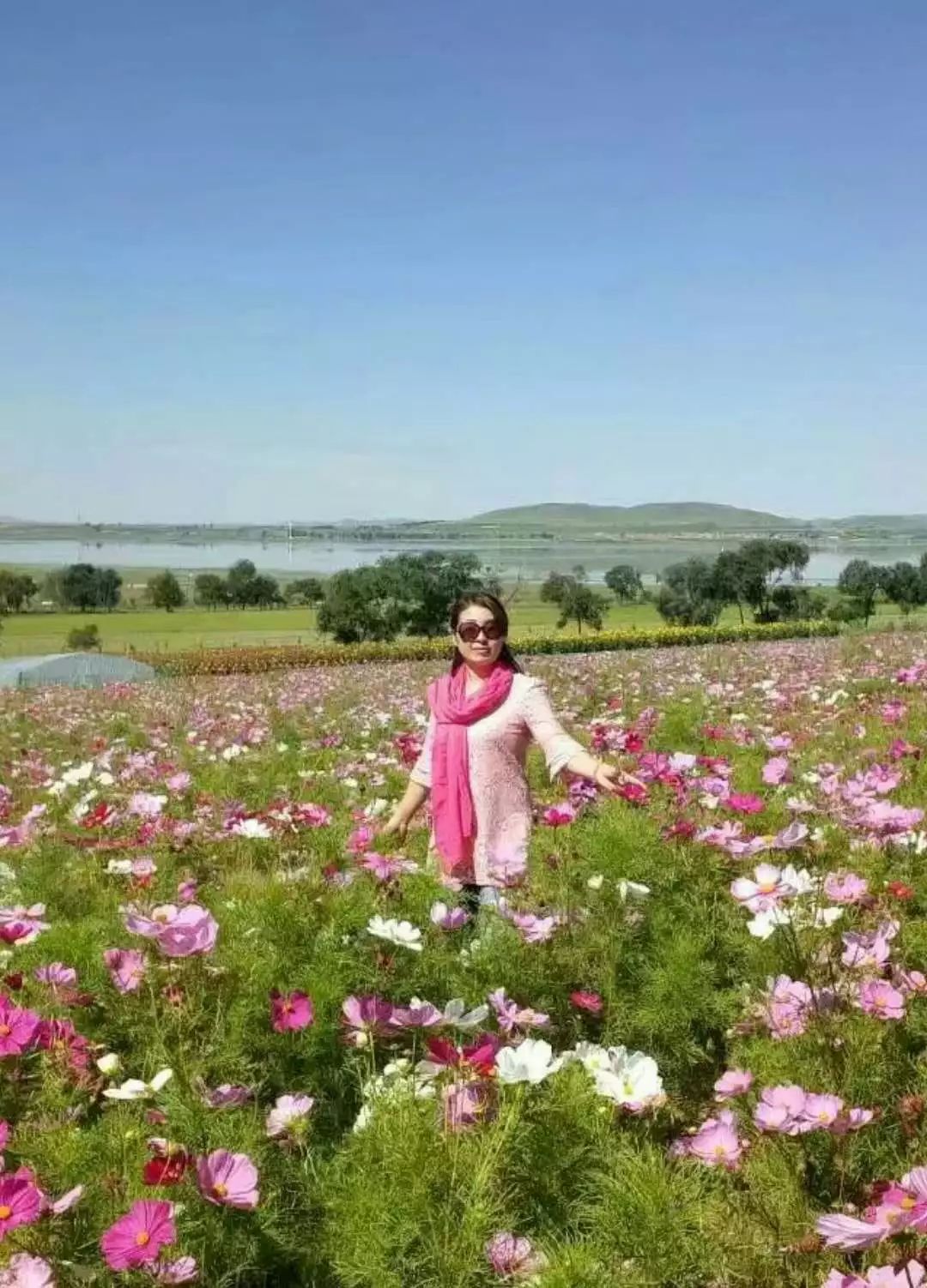 【诗词原创】王月|紫燕翩翩轻剪水桃花一朵又逢春