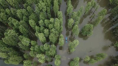 诗意到极致的江南小镇,最有韵味江南小城