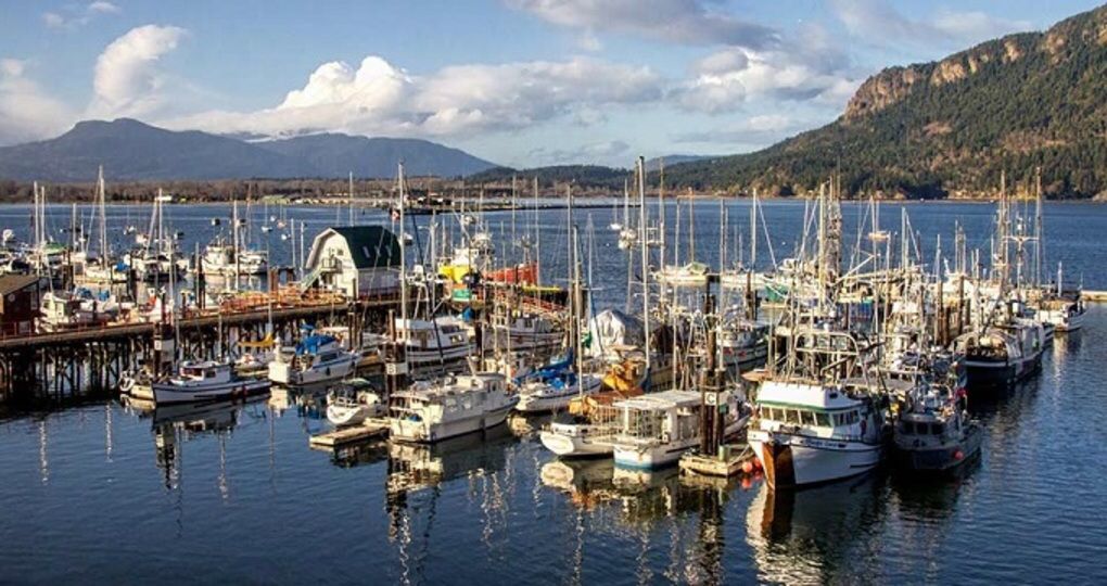 加拿大温哥华岛旅游,畅游加拿大