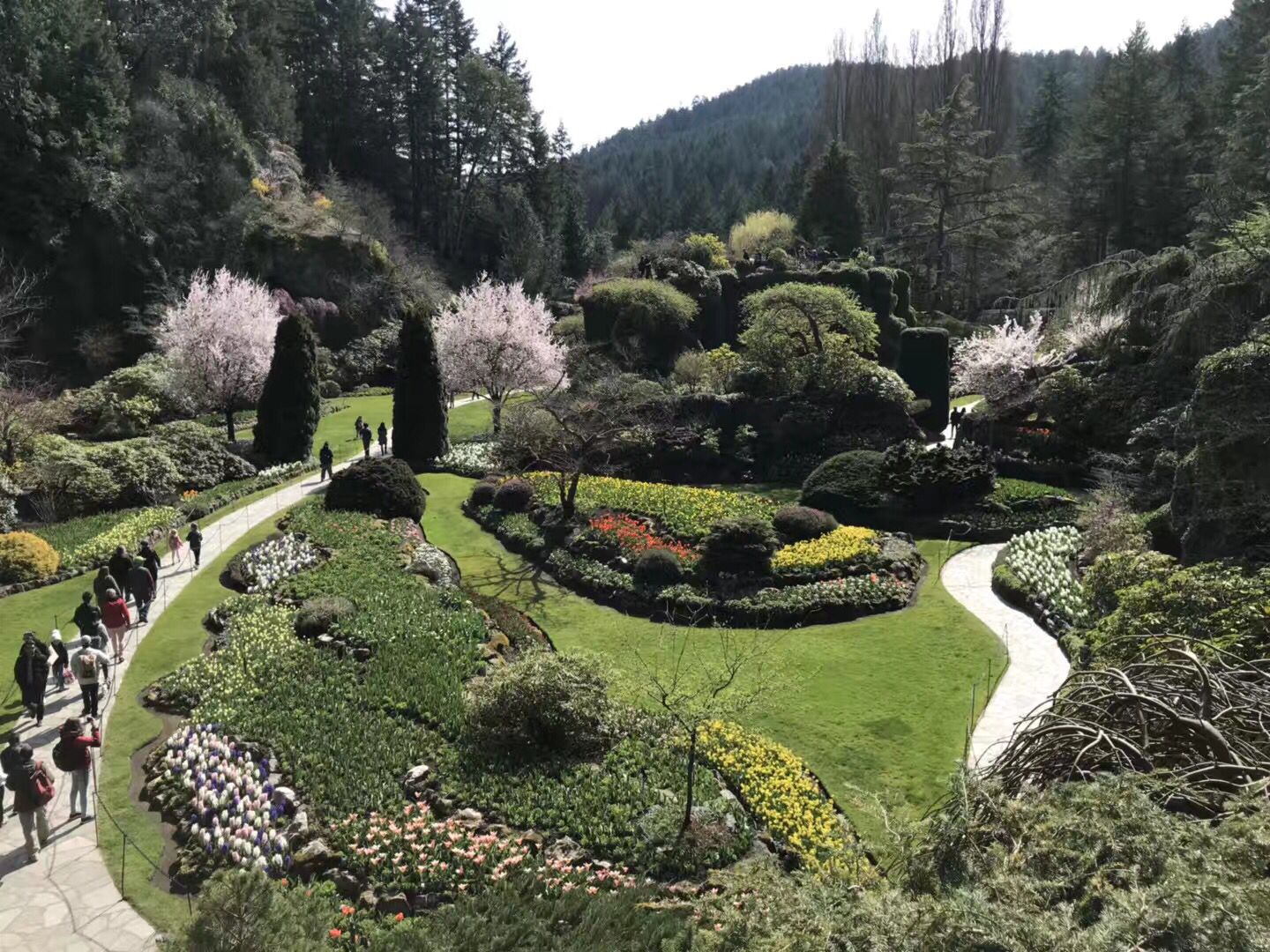 加拿大温哥华岛旅游,畅游加拿大