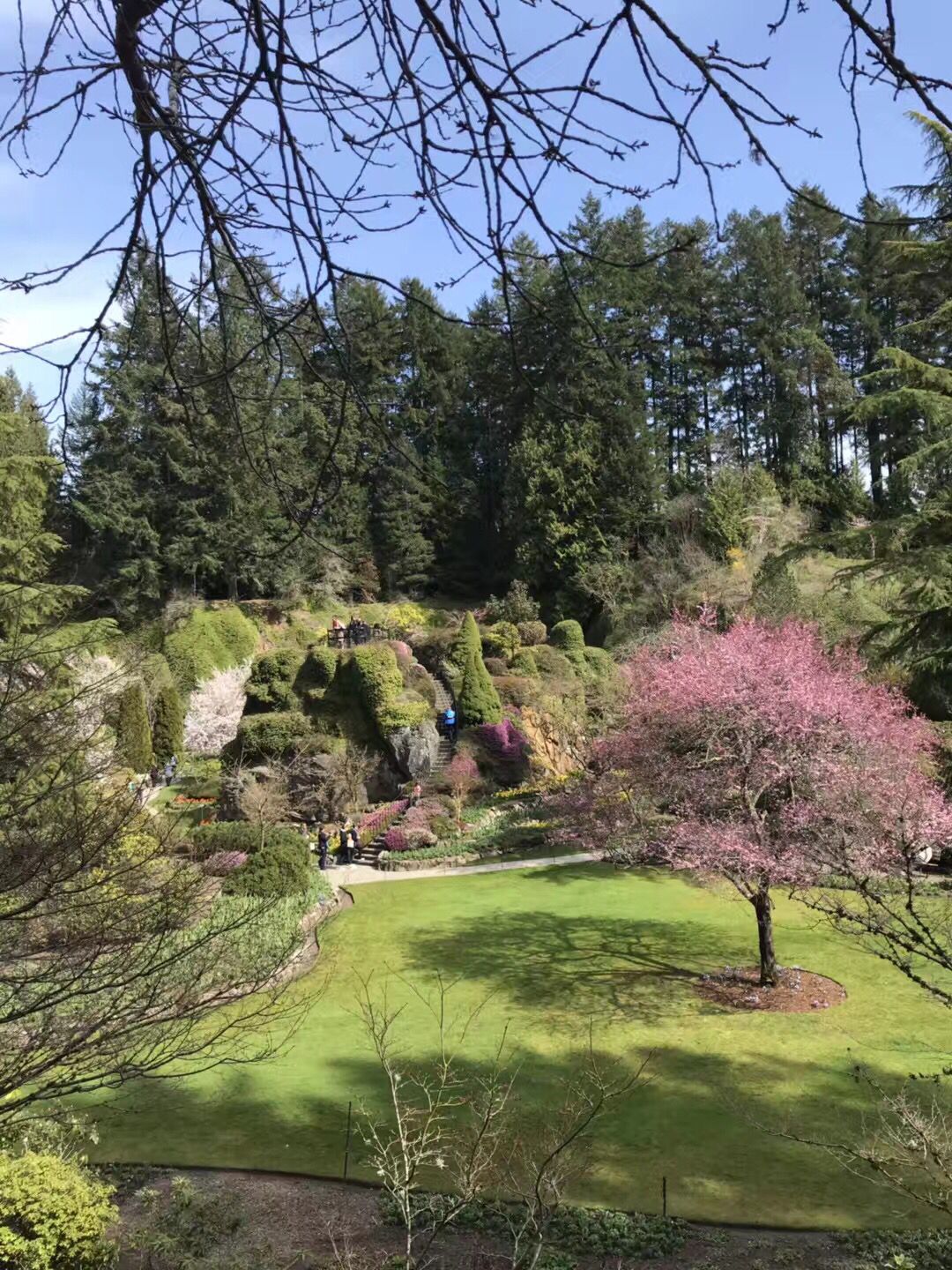 加拿大温哥华岛旅游,畅游加拿大