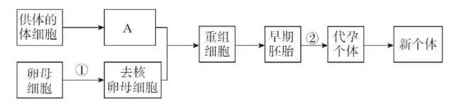 生物高考现代生物科技押题,高考生物核心概念考题