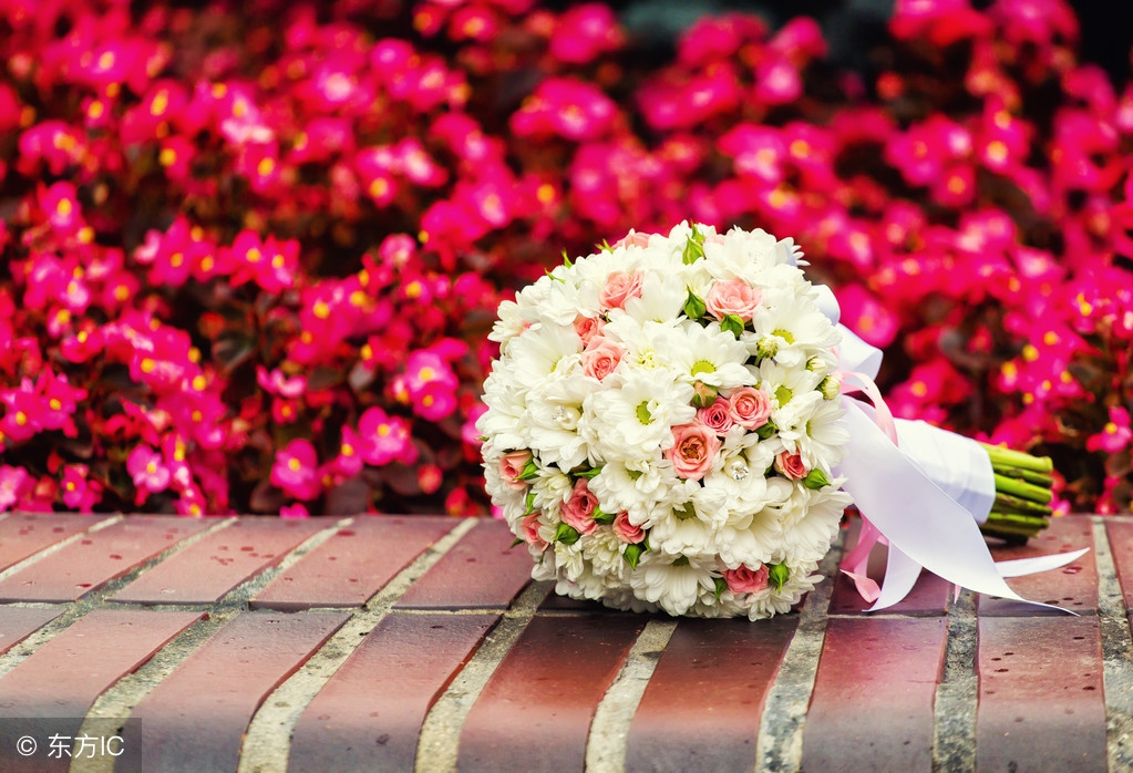 女性的专属节日祝福,女人的节日祝福语