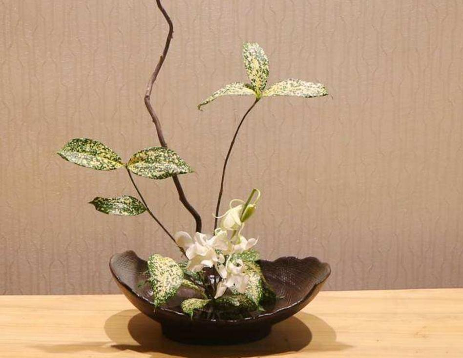 语录当你一无所有的时候,美文当你看透一切时荐读