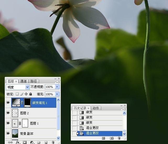 拍荷花用ps做成水墨画方法,ps怎样将拍的荷花p得漂亮免费教程