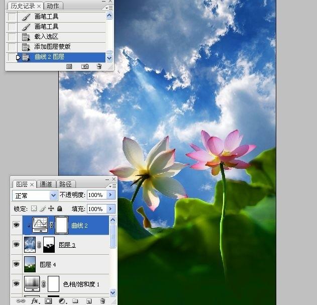 拍荷花用ps做成水墨画方法,ps怎样将拍的荷花p得漂亮免费教程