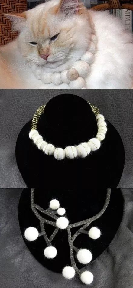 养猫铲屎官注意事项,铲屎官爱猫的三种境界