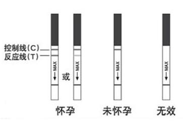 月经迟到三天能测出来怀孕吗,姨妈迟到几天可以测出怀孕