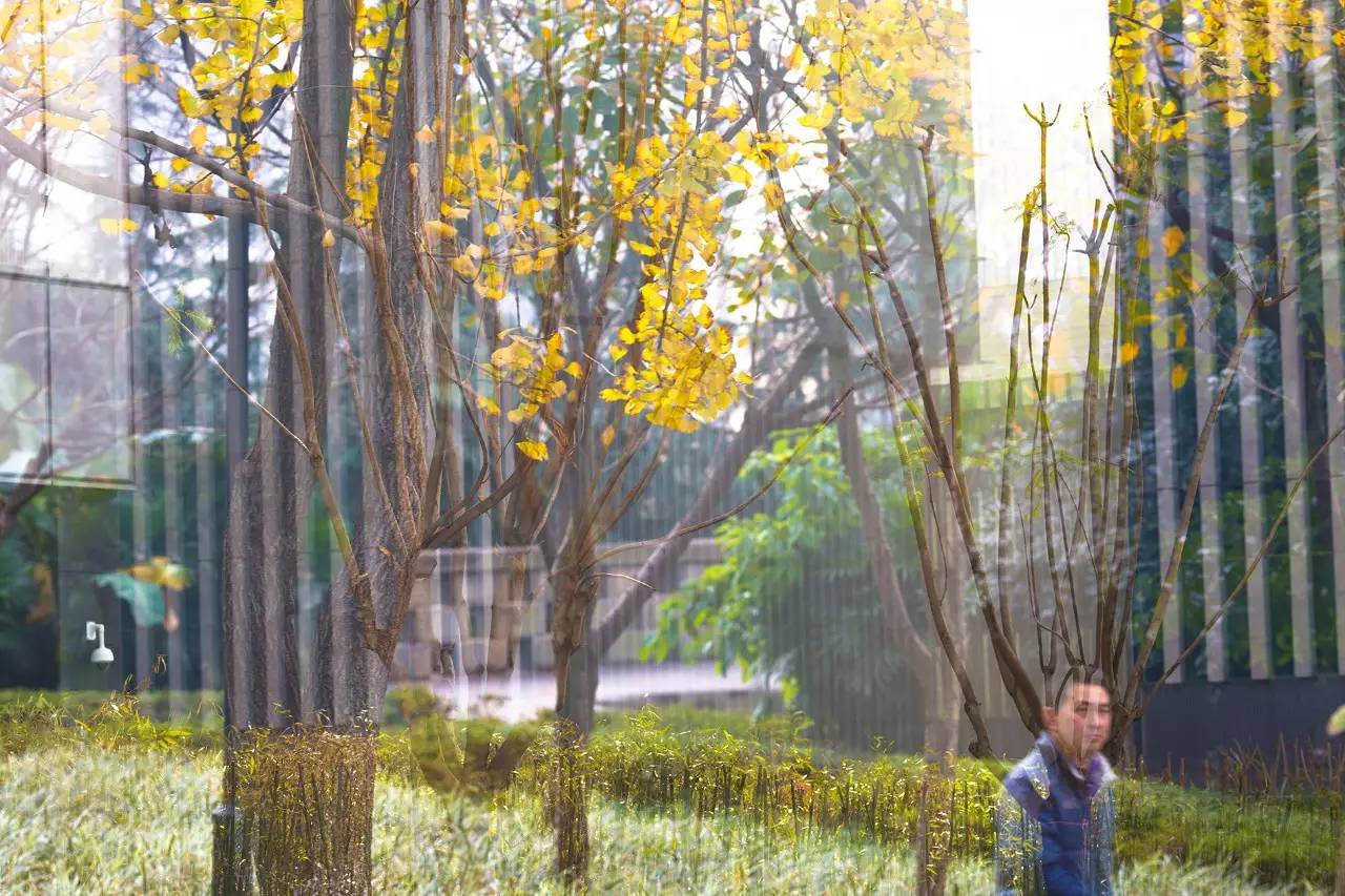 不会玩多曝摄影？看完这10个问题就会了