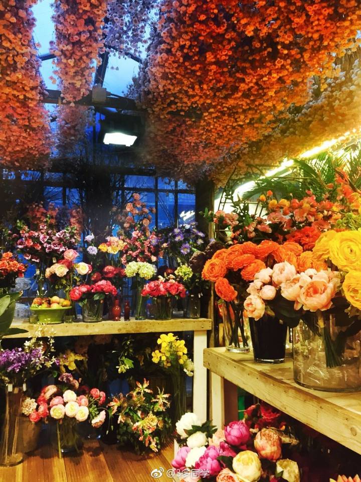 怎么去荷兰旅游需要什么手续,第一次去欧洲怎么玩划算