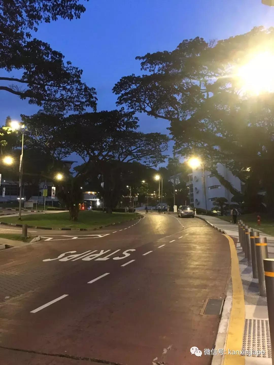 晚上在新加坡坐商务车视频,新加坡打车注意事项有哪些