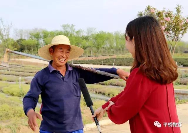 平桥美丽乡村,平桥区漂亮乡村
