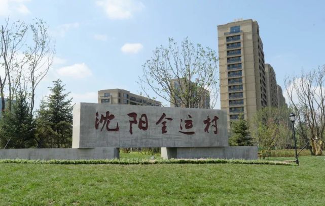 宋卫平理想主义,宋卫平杭州