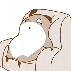 胎位不正不好检查怎么纠正最快,胎位不正不好做大排畸吗