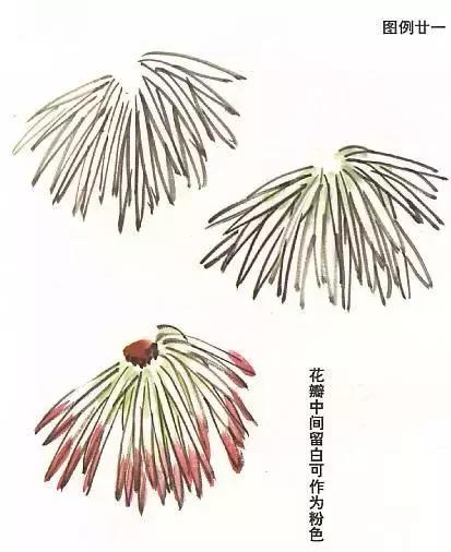 国画基础画菊花该如何构图才好看,国画菊花怎么画简单画法