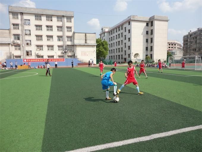 教育部取消了哪些体育项目,全国青少年校园足球特色学校最新