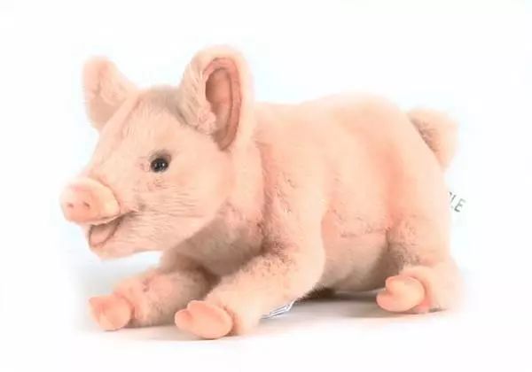 世界顶级丑萌玩偶图解,最新丑萌小玩偶