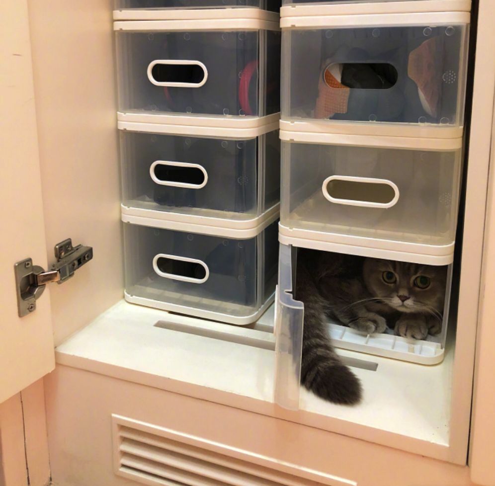 猫咪睡觉的地方应该在哪,猫咪在房间里躲起来怎么都找不到