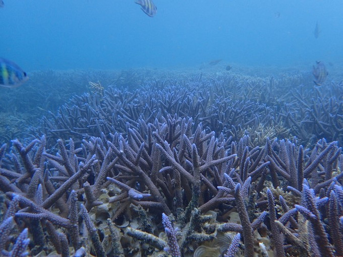 离开喧嚣的城市去野外生活三年,逃离都市喧嚣回归心灵栖居地