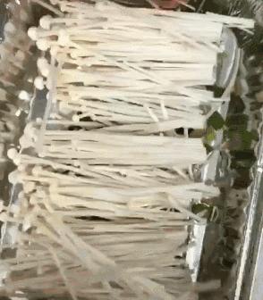 全抖音最有牌面的美食测评,抖音十大美食测评网红美食