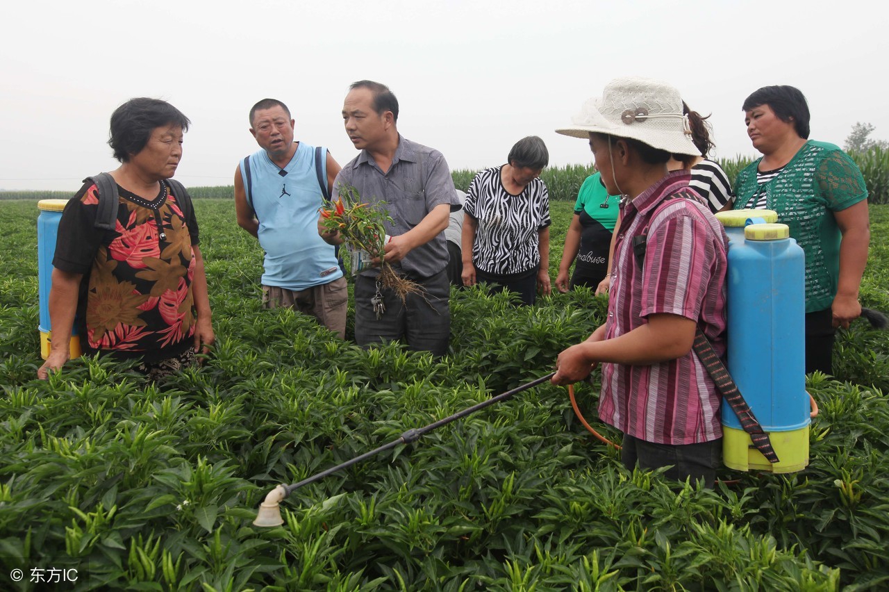 枣强县政府合作社补贴政策通知,合作社补贴2024年政策河北