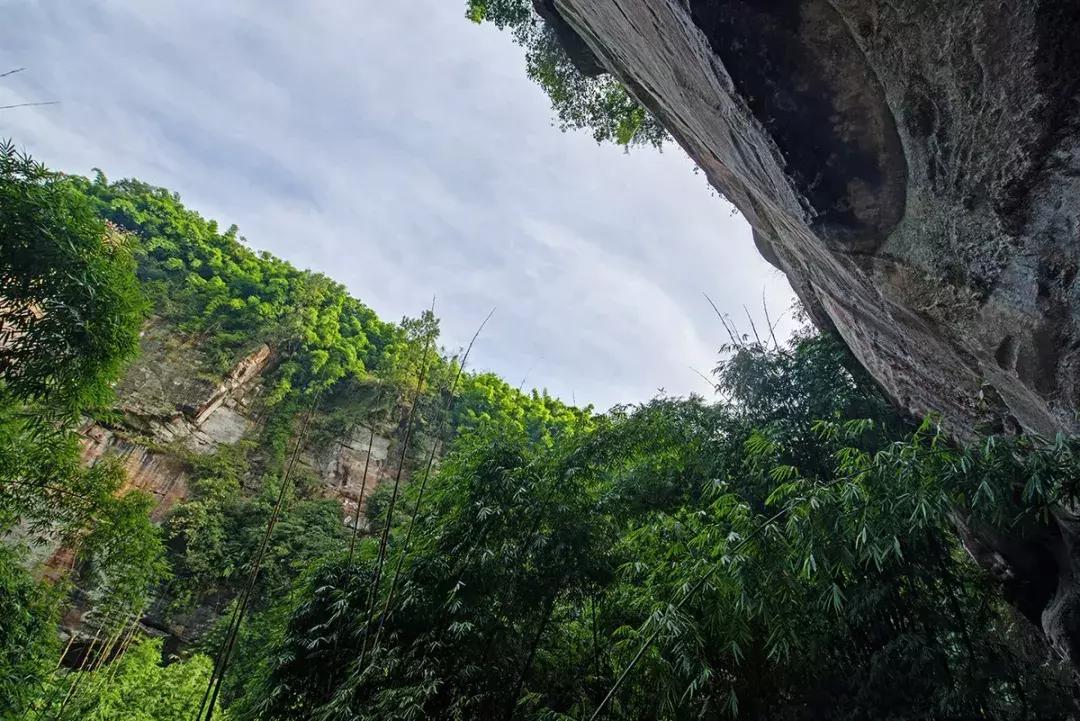 成都周边洗肺好去处,成都周边私藏的8个洗肺胜地