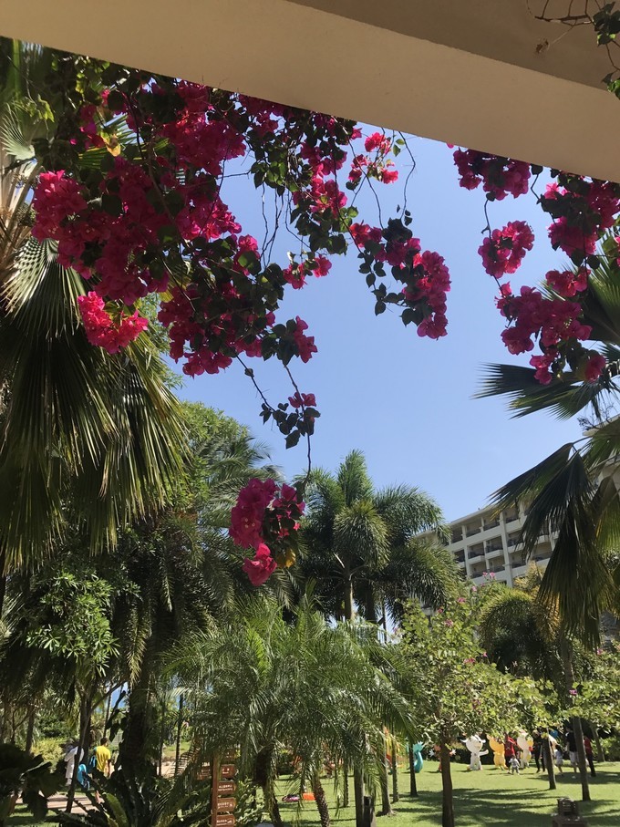 带你旅游看世界,海南清明出游三亚