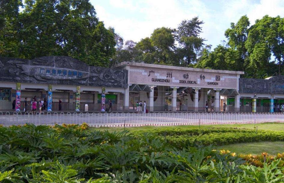 东莞香市动物园和广州动物园,长隆野生动物园和广州动物园区别